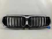 Kühlergrill BMW 6er Gran Turismo (G32) 620d xDrive 140 kW 190 PS (07.2018-> )