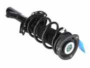 Federbein VW Passat B8 (3G) 2.0 TDI 110 kW 150 PS (11.2014-> ) 3Q0413032A