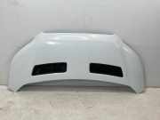 Motorhaube FORD Transit V363 Pritsche/Fahrgestell (FED, FFD) 2.0 TDCi 96 kW 13