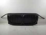 Kühlergrill BMW X5 (G05, F95) 50e Plug-in-Hybrid xDrive 360 kW 489 PS (04.2023