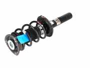 Federbein VW Golf VII Variant (BA, BV) 2.0 TDI 4motion 110 kW 150 PS (04.2013-