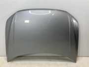 Motorhaube VW Tiguan Allspace (BW2) 2.0 TDI 4motion 147 kW 200 PS (06.2020-> )
