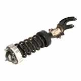Federbein links vorne VW Touareg II (7P) 3.0 TDI V6 176 kW 239 PS (01.2010-03.2018) (01/2010-03/2018)