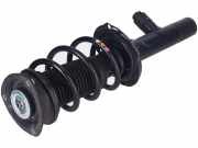 Federbein links rechts vorne VW Tiguan II (AD)