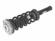 Federbein links hinten BMW X3 (G01, F97) xDrive 30d Mild-Hybrid 210 kW 286 PS (07.2020-> ) (ab 07/2020)