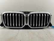 7931236 Kühlergrill BMW X3 (G01, F97) xDrive 20i 135 kW 184 PS (12.2017-> )