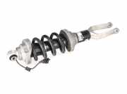 Federbein links vorne AUDI R8 Spyder (4S) 5.2 FSI quattro 397 kW 540 PS (05.20