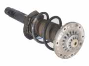 Federbein links vorne BMW 3er (F30, F80) 320d 135 kW 184 PS (03.2011-03.2016)