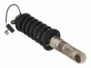 174724 Federbein links hinten FERRARI 360 Spider (F131) 3.6 Modena 294 kW 400