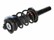 Federbein links rechts vorne VW Tiguan II 2 (AD)