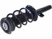 Federbein links rechts vorne VW Polo VI (AW)