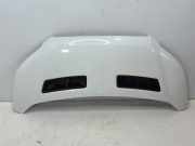 Motorhaube FORD Transit V363 Pritsche/Fahrgestell (FED, FFD) 2.0 TDCi 96 kW 130 PS (03.2016-> ) (ab 03/2016)