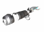Federbein links vorne BMW X6 (G06, F96) xDrive 40d Mild-Hybrid 250 kW 340 PS (