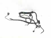 Kabel Lichtmaschine AUDI Q5 (8R) 8R0971228B