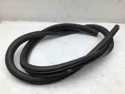 Türgummi links vorne RENAULT Megane II Coupe/Cabriolet (EM) 8200095453