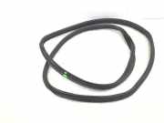 Türgummi links vorne OPEL Zafira A (T98)