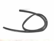 Türgummi rechts BMW 1er Cabriolet (E88) 7164994