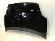 Motorhaube FIAT Punto (199)