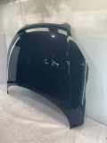 Motorhaube AUDI TT (8J) 8J0823029E