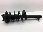 Federbein links vorne FORD Focus Turnier (DN) 1.8 TDCi 116 PS (03.2001-11.2004)