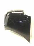Motorhaube FIAT Seicento (187)