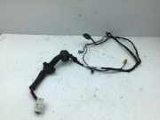 Kabel Tür SMART Forfour (454) MN164298