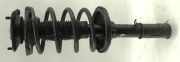 Federbein links vorne KIA Carnival II (UP)