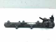 Einspritzleiste AUDI A6 (4F, C6) 0291002859