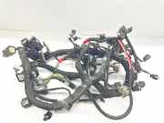 Kabel Motor FORD Fiesta VII (HJ, HF) J1BT-12C508-ABD