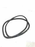 Türgummi links vorne VW Polo IV (9N, 9A) 6Q4867911J