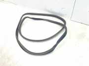 Türgummi links VW Fox Schrägheck (5Z) 5Z3831721H