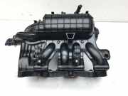 Ansaugkrümmer FIAT Grande Punto (199) 55199795