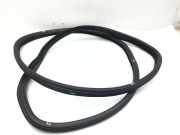Türgummi rechts hinten BMW 3er Touring (E91) 7119966