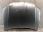 Motorhaube VW Passat B5.5 Variant (3B6)
