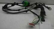 Kabel Tür FORD Focus (DAW, DBW) 1.6 74 kW 101 PS (10.1998-11.2004)