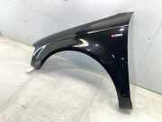 Kotflügel links vorne AUDI A3 (8P) 8P0821105G