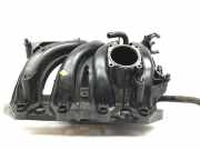 Ansaugkrümmer SEAT Ibiza III (6L) 036129709GT