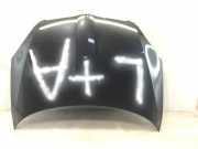 Motorhaube SKODA Fabia II (542) 5J0823031A