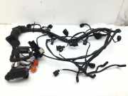 Kabel Motor VW Passat 5.5 Variant (3B6) 3B1971072CA