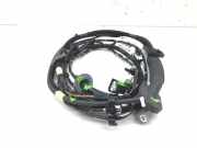 Kabelbaum FORD C-Max II (DXA) AV6T-14D466-AAF