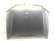 Motorhaube VW Passat B5.5 Variant (3B6)