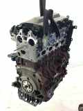 Motor ohne Anbauteile (Diesel) FORD Kuga TXDA **