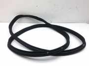 Türgummi links hinten MERCEDES-BENZ C-Klasse (W204) A2046970151