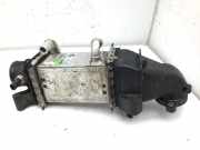 Ladeluftkühler VW Polo V (6R, 6C) 04B145749K