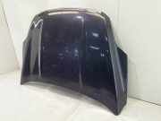 Motorhaube FORD Kuga