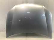 Motorhaube VW Golf V (1K) 1K0823031J