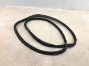 FIAT Punto (199) Dichtung für Heckklappe 51773660 2012->