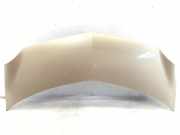 Motorhaube RENAULT Modus - Grand Modus (P)