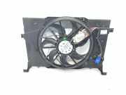 Elektrolüfter MERCEDES-BENZ A-Klasse (W169) A1695002693