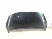 Motorhaube PEUGEOT 207 CC